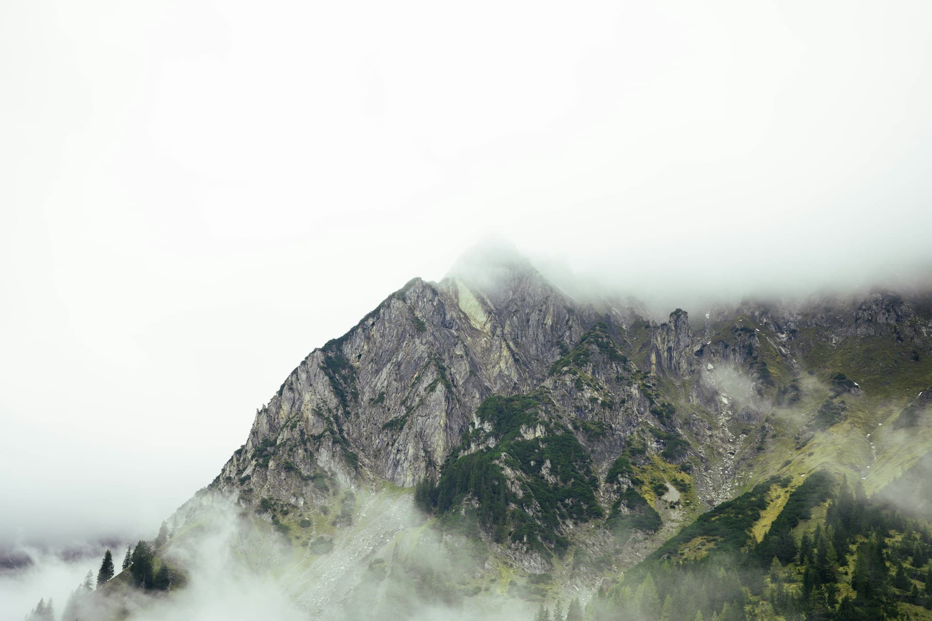 中華地工材料協會背景圖